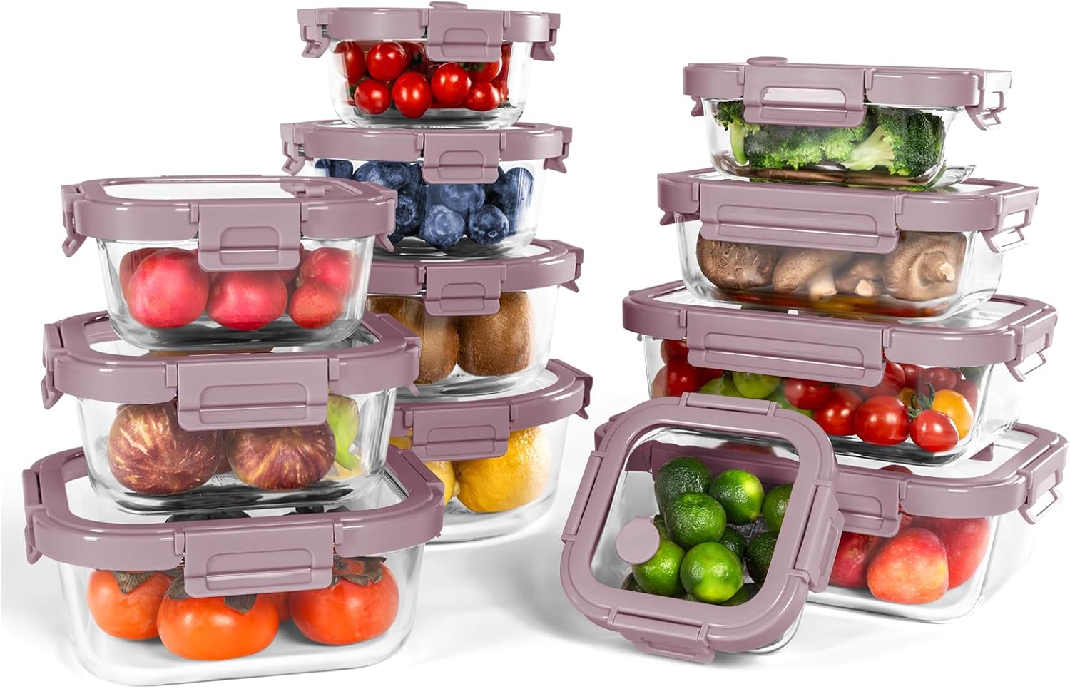 Borosilicate Glass Containers with Glass Lids, 10 Pack